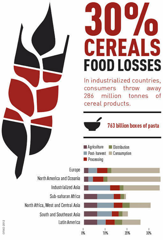 Illustration for article titled These Charts Show Which Foods Are Most Likely To Be Wasted